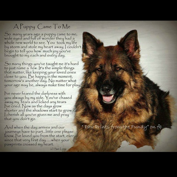 Meet your Posher, Nathan - Picture 1 of 1